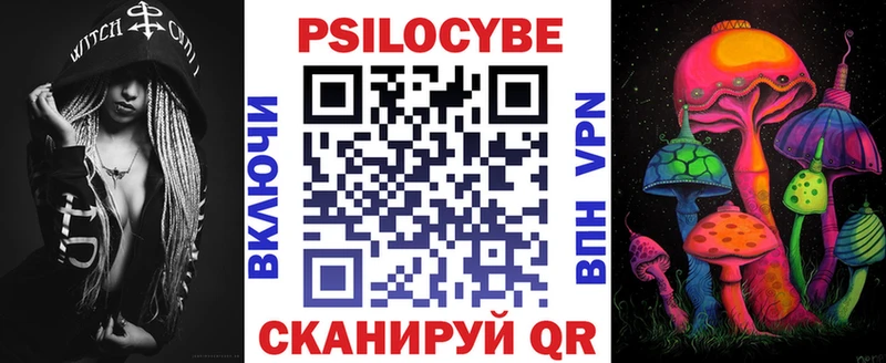 Купить закладки  Данков  Псилоцибиновые грибы мицелий 